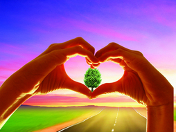 品牌效應(yīng)的作用