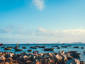 優(yōu)勢(shì)明顯，資本蜂擁而入