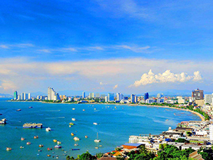 董事、高級管理人員和代表