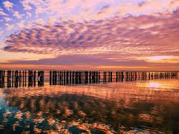 怎么在特拉華州注冊(cè)公司？