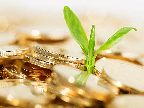 越南經(jīng)濟強勁復蘇