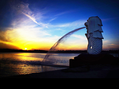 新加坡公司注冊要求