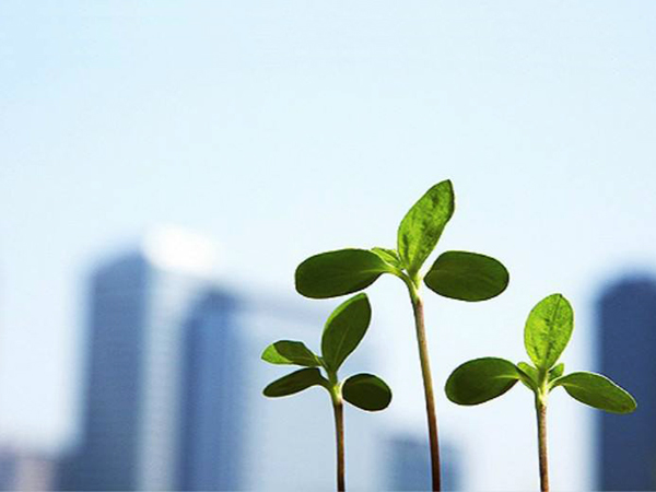 豁免申報的情形