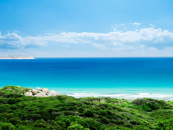 離岸基金注冊地